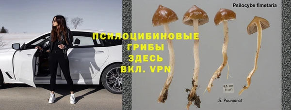 МДМА Медвежьегорск