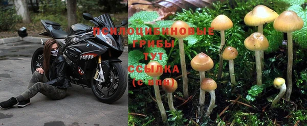 дмт Магас