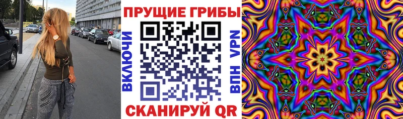 Галлюциногенные грибы мицелий  omg ссылка  Майский  даркнет сайт 