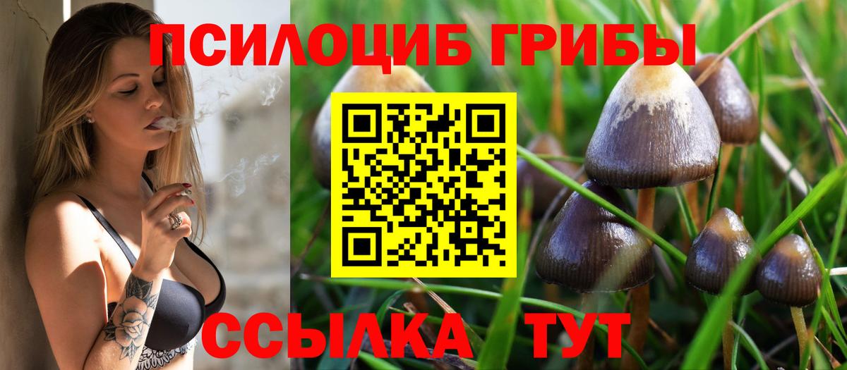 Майский  Псилоцибиновые грибы Cubensis  Вход с VPN  Псилоцибиновые грибы Psilocybine cubensis 